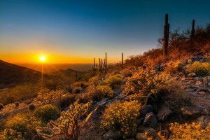 sun setting over the desert