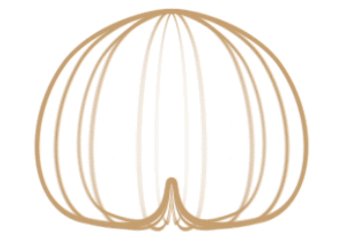 The heart shaped pattern of the cardiod mic.  This image shows how the cardioid mic hears mostly whatever its pointing to, and not much from the rear of the mic. 
